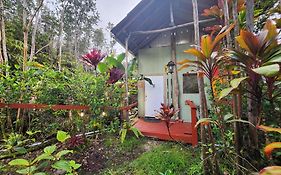 Cabin 2-Rustic Private Stay Near Volcano National Park
